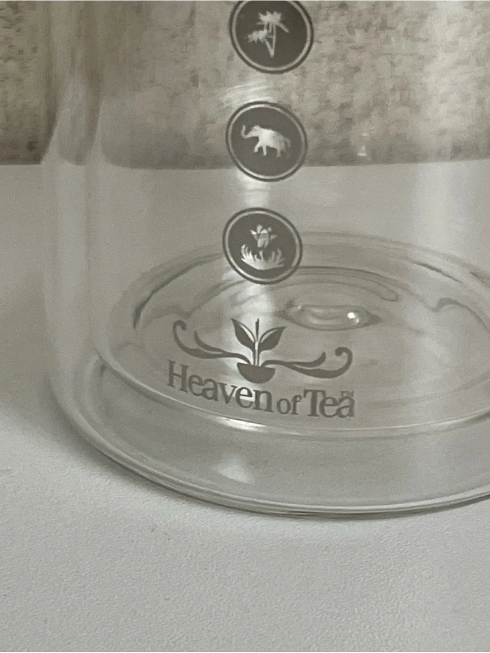 Teavana Tea Rhapsody Double Wall Glass Tumbler 16oz Stainless Steel Strainer Box